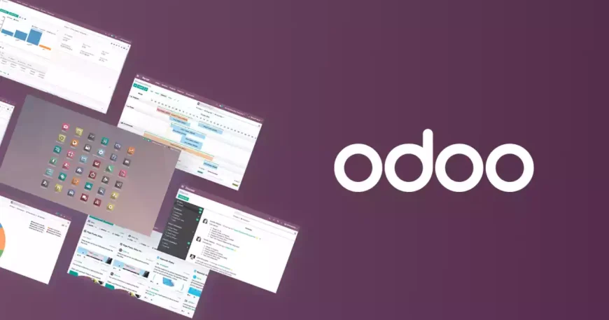 How to Use Odoo? A Beginner’s Guide to ERP Success